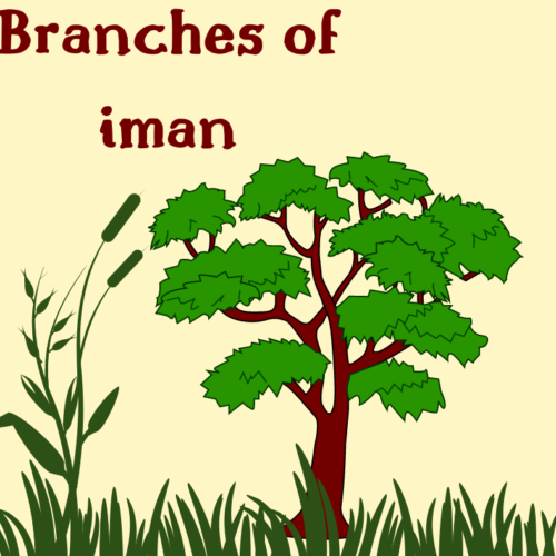 Branches Of Iman